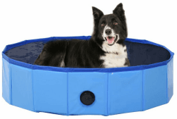 vidaXL Hundepool faltbar 80x20cm blau