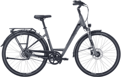 Pegasus Premio SL Belt 8 grey (2022)
