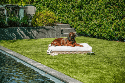 greemotion PET Hundebett aus Polyrattan inklusive Kissen, ca. 95 x 15 x 65 cm