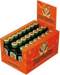 Jägermeister 24 x 0,04l 35%