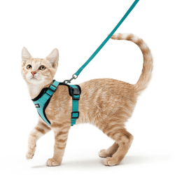 rabbitgoo Katzengeschirr mit Leine Softgeschirr für Katze Brustgeschirr Cat Harness Katzengarnitur ausbruchsicher verstellbar Katzenweste Grün XS XS (1er Pack) Grün
