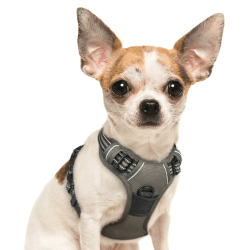 Eagloo Hundegeschirr Kleine Hunde, Anti Zug Hundegeschirr mit Reflexstreifen und Kontrolle, Verstellbar, Einstellbar und Langlebige Brustgeschirr Hund, Geeignet zum Gehen und Joggen, Braun, S S (1er Pack) Braun