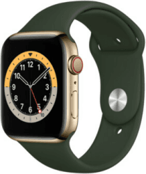 Apple Watch Series 6 LTE Gold Edelstahl 44mm Sportarmband Zyperngrün