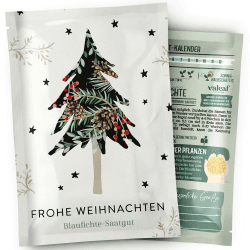 valeaf Blaufichte Weihnachtsbaum Samen I Weihnachtsbaum züchten Saat I Wichtelgeschenk Weihnachten Saatgut I Adventskalender Füllung Erwachsene Adventskalender Füllung Ideen I Dein Christbaum 2029 Frohe Weihnachten