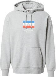 Levi's Relaxed Graphic Graphic Serif Hoodie (38479-0106)