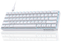 Dierya DK61se Gaming Tastatur,60% Prozent Mechanische Tastatur mit Red Linear Switch,Ultra-Compact Mini 61 Tasten Anti-Ghosting,Typ-C-Datenkabel,US Layout für PC Windows Gamer Typist,Weiß Red switches Weiß