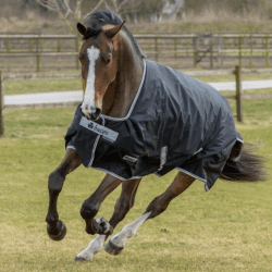 Bucas Anniversary Turnout SD 150g 145cm schwarz/silber
