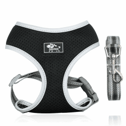 Dociote Hundegeschirr Set mit Leine - Brustgeschirr Welpengeschirr Set mit Leine & Reflektorstreifen verstellbares Geschirr für Welpen kleine Hunde Katzen Schwarz XS