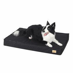 BingoPaw Orthopädisches Hundebett mittelgroße Hunde, Hundekissen Waschbar Flauschig, Hundematte Hundematratze mit Abnehmbarem Deckel für Hundekäfig, Grau, L 92x56x8 cm