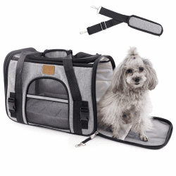 Transportbox Katze Transportboxen|Faltbare katzentasche Transporttasche,Hundetragetasche|Transporttasche mit Einstellbar Schultergurt Atmungsaktives Mesh|katzenbox für Katzen Kleiner Hund Welpe