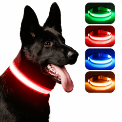 Leuchthalsband Hund, iTayga USB Aufladbar Led Hundehalsband Einstellbar Hundehalsband Leuchtend, Nacht-Sicherheitslicht Hundehalsband,TPU Wasserdicht, 3 Beleuchtungsmodi(Rot, S)