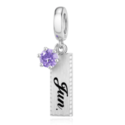 DALARAN Sterling Silber Geburtsstein Charms für Pandora Charm Herz “MEHRWEG”