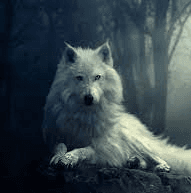 Tanja Profilbild auf HelloDeals