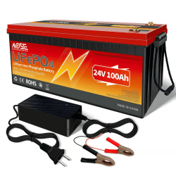 Lifepo4 100ah Akku 24V, Aktualisiert BMS Schutz, für Kinder Quad, Kinderfahrzeug, Außenborder, Wohnmobil, Segelboot, Fischfinder & Solaranlage 24V 100AH Rot