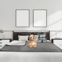 Bedding Aid wasserdichte Wendedecke 203x229cm, Auslaufsichere Schutzdecke zum Schutz von Bettmatratze, Sofa, Couch vor Flecken von Erwachsenen, Babys, Hunden, Haustieren Dunkelgrau/Hellgrau Dunkelgrau/Hellgrau 203 x 229 cm