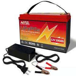 Lifepo4 100Ah 12V Akku, 1280wh Lithium Batterie Wohnmobil, In Reihe BMS-Schutz, 10 Jahre Lebensdauer Ersetzt AGM oder Gel Autobatterie für Wohnmobil, Boot, Camping oder Solaranlage - mit ladegerät 12V 100AH Rot