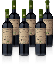 Casa Vinicola Botter Doppio Passo Primitivo Puglia IGT 6x0,75l