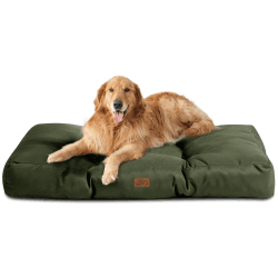 Bedsure Hundekissen Grosse Hunde waschbar - 110x89cm hundematratze wasserdicht XXL für große, mittelgroße Hunde Outdoor gepolstert Hundematte grün in 10cm Höhe L 110 x B 89 x H 10 cm Grün