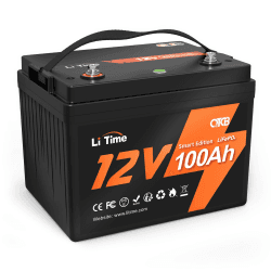 LiTime 12V 100Ah Smart LiFePO4 Batterie, eingebautes 100A Smart BMS, Niedertemperatur-Abschaltung und Smart SOC Erinnerung, 10 Jahre Lebensdauer, Lithium Batterie für Wohnmobil, Solaranlage, Boote 12V100Ah Smart