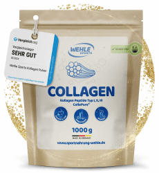 Collagen Pulver 1 KG - Bioaktives Kollagen Hydrolysat Peptide, Eiweiß-Pulver Geschmacksneutral, Wehle Sports Made in Germany Kollagen Typ 1, 2 & 3 Lift Drink 1000g 1000g (1er Pack)