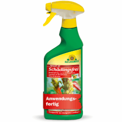 Neudorff Spruzit AF Schädlingsfrei – Bekämpft Schädlinge wie Buchsbaumzünsler, Blattläuse, Thripse an Zierpflanzen, Gemüse, Obst und Kräutern, 500 ml 500ml Single