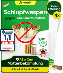 anwerk® Schlupfwespen gegen Lebensmittelmotten - 4 Karten à 1 Lieferung - Effektiv Lebensmittel Motten bekämpfen - Alternative zur Mottenfalle, Mottenspray, Pheromonfalle (4X Karten à 1 Lieferung)