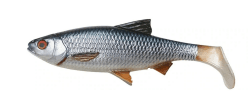 Savage Gear 4D LB River Roach 18cm 70g - Gummifisch Roach (Rotauge)