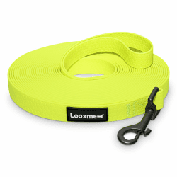 Looxmeer Schleppleine für Hunde, 5m /7m /10m /15m /20m /25m /30m Hundeleine mit Handschlaufe und D-Karabiner, Reißfeste Übungsleine，Neon Gelb 5M Neon Gelb