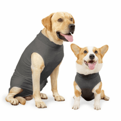 HEYWEAN Hundebody Nach Op Kastration Wundschutzanzüge für Hunde, Professioneller Pet Recovery Suit Hund Medical Shirt, Body Suit nach der Operation Hund Haustier Chirurgenanzug für Hunde XXXL (Packung mit 1) Grau