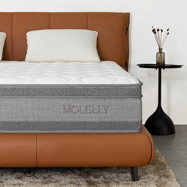 Molblly Matratze 160x200 cm 7-Zonen Höhe 25cm Härtegrad H3 Federkernmatratze Öko-Tex Zertifiziert Orthopädische Taschenfederkernmatratz mit Schaumstoff und Microfaser-Bezug 160x200 cm 160 x 200 cm 25.0 Zentimeter