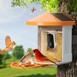 GNCC Vogelhaus mit Kamera Vogelfutterstation mit 1080P Kamera Vögel Bewegungserkennung und Videos Aufnahmen, Kabellose Vogelkamera Vogelliebhaber Orange