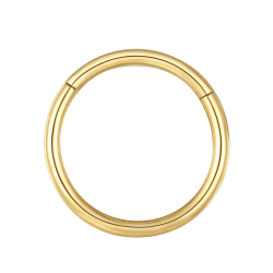 BLESSMYLOVE Nasenring Hoop 316L Chirurgenstahl Knorpelohrring Septum Clicker Ring 0,8 mm 1,0 mm 1,2 mm 1,6 mm 2,0 mm Edelstahl Klappbarer Segmentring Lippenring Conch Daith Helix Rook Tragus Lobe Snug Ear Body Piercing Schmuck 1 Stück 1.0 x 7 mm Goldfarbe