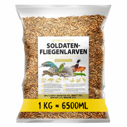 Soldatenfliegenlarven getrocknet 1kg (entspricht 6,5 Litern), Black Soldier Flys, Vogelfutter, Igelfutter mit Insekten, Fischfutter, proteinreicher Snack für Reptilien und Schildkröten 1 kg (1er Pack)
