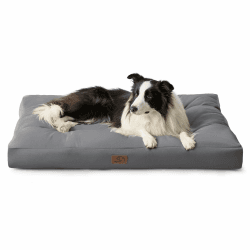 BEDSURE Wasserdichtes Hundebett große Waschbar - 91x68 cm hundematratze kühlmatte L für Hunde, Outdoor gepolstert Hundematte grau in 10cm Höhe, selbstkühlend Grosse XL Hundekissen für Sommer Grau L 91 x B 68 x H 10 cm