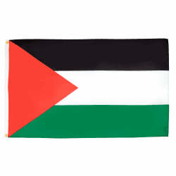 AZ FLAG - Flagge Palästina - 150x90 cm - Palästinensische Fahne 100% Polyester mit Messing-Ösen - 110g Palästina 150x90 cm