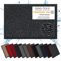 Carpet Diem Fußmatte 40x60 cm in Anthrazit - Schwarz | Schmutzfangmatte innen für sauberen Eingangsbereich | rutschfest & pflegeleicht | Verschiedene Größen & tolle Farben 40 x 60 cm Anthrazit-schwarz