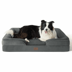 BEDSURE orthopädisches Hundebett Ergonomisches Hundesofa - 89x63 cm Hundecouch mit eierförmiger Kistenschaum für mittlere Hunde, waschbar rutschfest Hundebetten, dunkelgrau L 89 x B 63 x H 17 cm Dunkelgrau