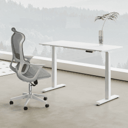 FLEXISPOT Bürostuhl Ergonomisch Schreibtischstuhl Computerstuhl Höhenverstellbarer Sitz Kopfstütze Armlehne Lendenwirbelstütze Lenkrollen Arbeitsstuhl Drehstuhl (Grau) Grau LITE