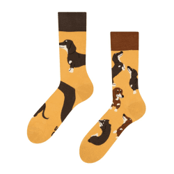 Dedoles Socken Unisex Damen Herren & Kinder Baumwolle viele lustige Designs Fussball Fahrrad Pferde Pflanzen Feuerwehr Geschenk links rechts verschieden 43-46 Dackel