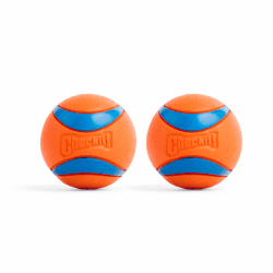 Chuckit – Ultra Ball Medium 2 Stück – 2 Jagdbälle für Hunde – Robuster und vielseitiger Ball – Ball der auf der Wasseroberfläche schwimmt – Kompatibel mit Chuckit Launchern – 6,5 cm Durchmesser Multi M