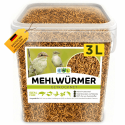 Mehlwürmer getrocknet 3L, Premium Insektensnack Vögel, Fische, Schildkröten, Nager, Igel, Reptilien, Vogelfutter Wildvögel Ganzjährig Eichhörnchen Futter Hamsterfutter Igelfutter (460g) Mehlwürmer 460 g (1er Pack)