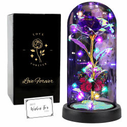 FAYODO Die Schöne und das Biest Ewige Rose, Galaxy Rose Geschenk für Freundin, Rose in Einer Glaskuppel mit LED-Licht, Geschenk für Mama (Lila) Schmetterling Lila