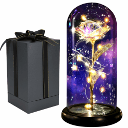FAYODO Die Schöne und das Biest Ewige Rose,Galaxy Rose Geschenk für Freundin Gold