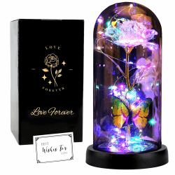 FAYODO Die Schöne und das Biest Ewige Rose, Galaxy Rose Geschenk für Freundin, Rose in Einer Glaskuppel mit LED-Licht, Geschenk für Mama (Weiss) Schmetterling Weiß