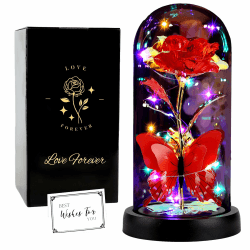FAYODO Die Schöne und das Biest Ewige Rose, Galaxy Rose Geschenk für Freundin, Rose in Einer Glaskuppel mit LED-Licht, Geschenk für Mama (Rot) Schmetterling Rot