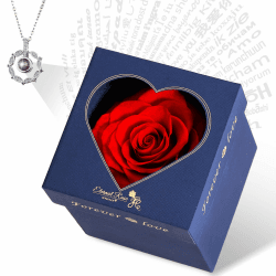 WYRIAZA Ewige Infinity Rose Kette - Rosenbox Rote Konservierte Echt Unendliche Haltbare Geschenke Frauen Mama Frau Freundin Ehefrau Geburtstag Jahrestag Weihnachten Valentinstag Muttertag Blumenbox Herz Rot
