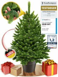 ArtiTree - Künstlicher Weihnachtsbaum im Topf - Christmas Tree für Innen und Außen, Kunstlich Baum für Weihnachtsdeko, Realistische Optik (80 cm, ohne Beleuchtung) ohne Beleuchtung 80 cm