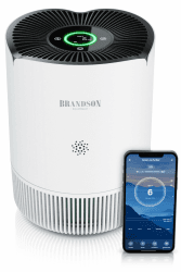 Brandson - Luftreiniger Allergiker 45 m² - Preisträger 2024 - CADR 158 m³/h - Air Purifier - Smart Home mit App - 4 Filterstufen HEPA Aktivkohle – Tierhaare Pollen Staub Schimmel Viren Raucherzimmer A: Luftreiniger 45m²