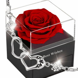 Ewige Rose Geschenkbox Rot,Infinity Rosen, Romantisch Konservierte Rose,Echte Eternal Blumen Für Frauen Women Ehefrau Muttertag Valentinstag Birthday Verlobung Hochzeitstag Jubiläum Christmas Gifts Weiß Zirkon