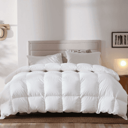 BedFabtasy Daunendecke 200x200 - Winter Bettdecke aus 90% Daunen und 10% Federn -100% Bauwolle Bettdecke 200x200 - Oeko-Tex 100, Downpass Zertifiziert, RDS Zertifiziert für Tierwohl 200 x 200 cm Winter Bettdecke-weiß